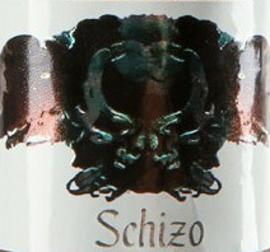 Asylum Schizo